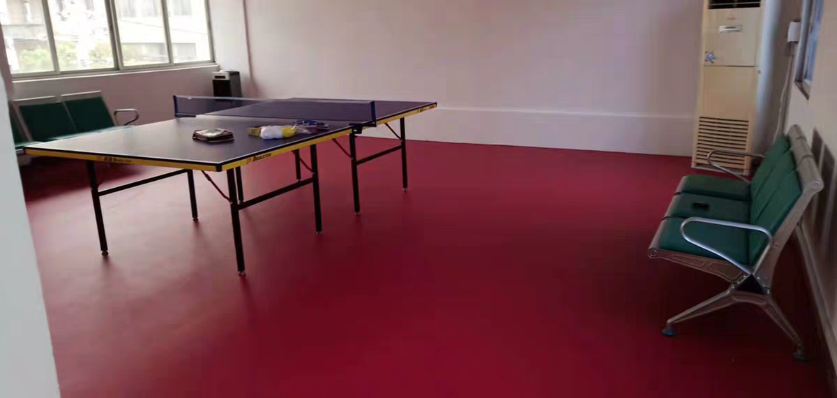 Table Tennis Floor5