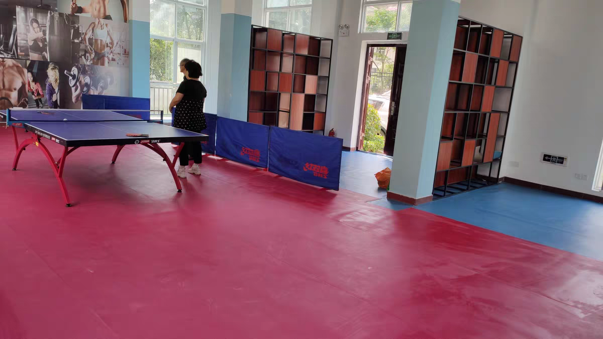 Table Tennis Floor3