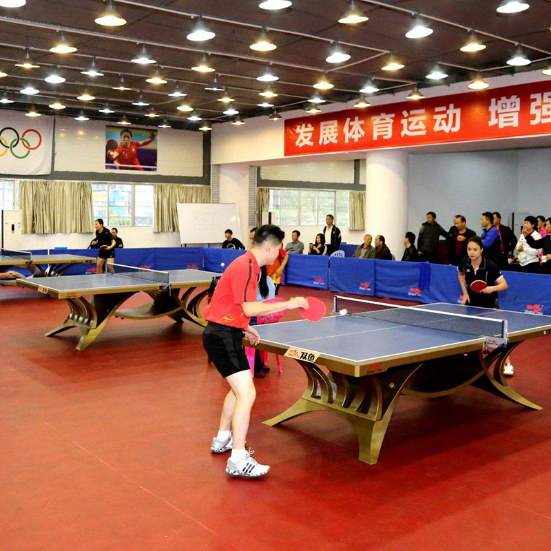 Factory wholesale Gym Sports Flooring - Vinyl Flooring for Table Tennis Court Big Fabric Pattern 1304R – Dongxing