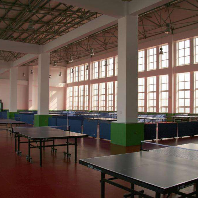 table tennis court