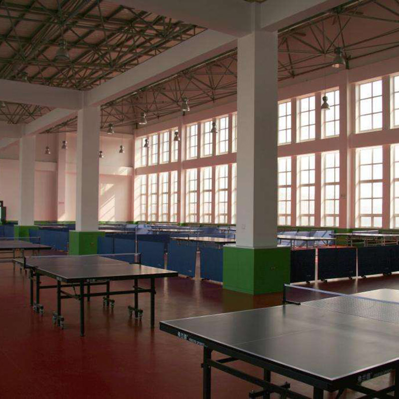 2019 Good Quality Sports Wooden Flooring - Table Tennis Court Floor Weave Pattern 1305R – Dongxing