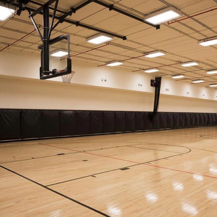 Wholesale Basketball Gym Flooring - Vinyl Basketball Floor Scree Pattern 1405 – Dongxing