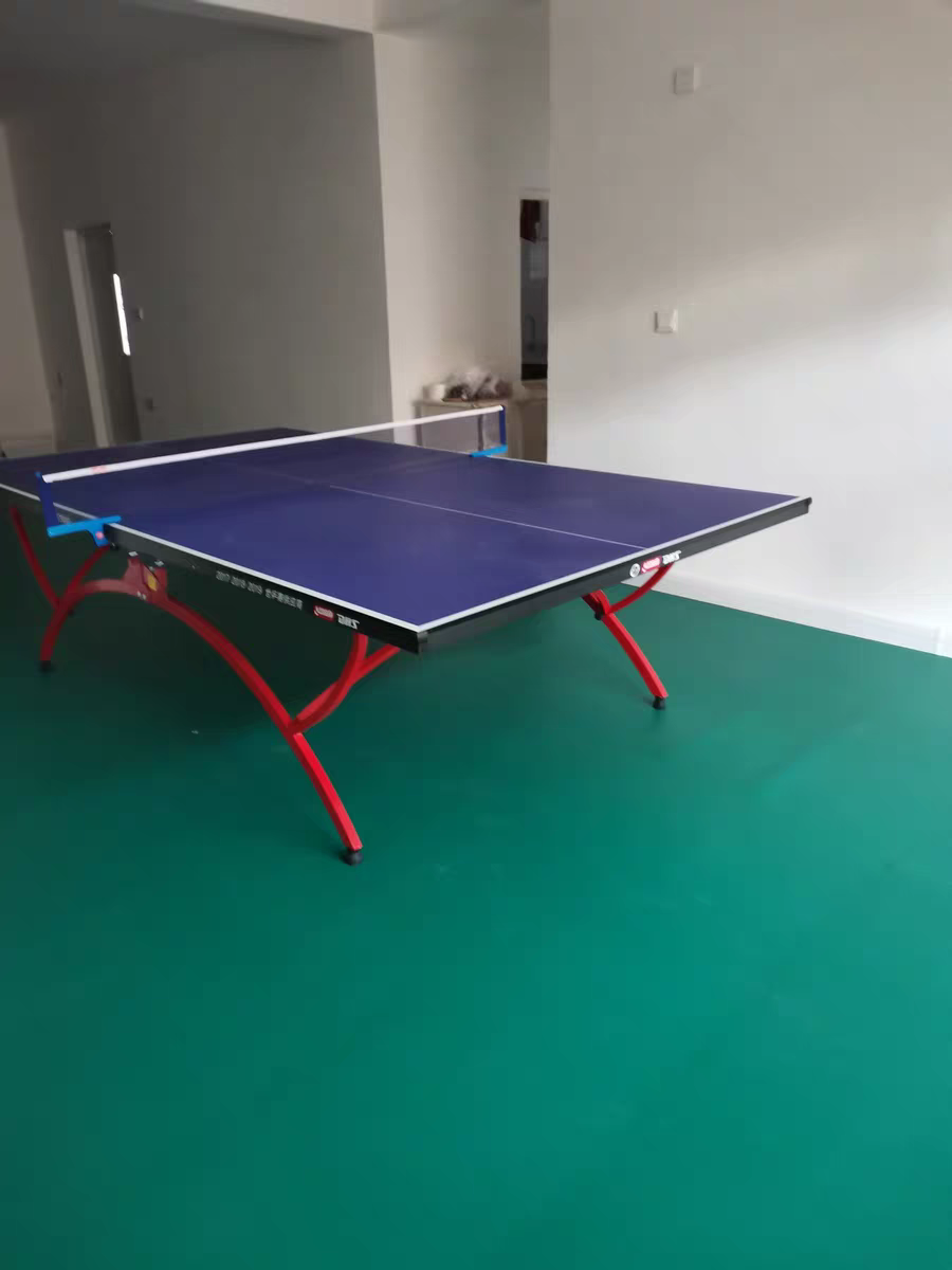 Table Tennis Floor1